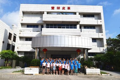 十字纹牛仔布纹高固羊巴PU 环保高档鞋材箱包面料的理想选择